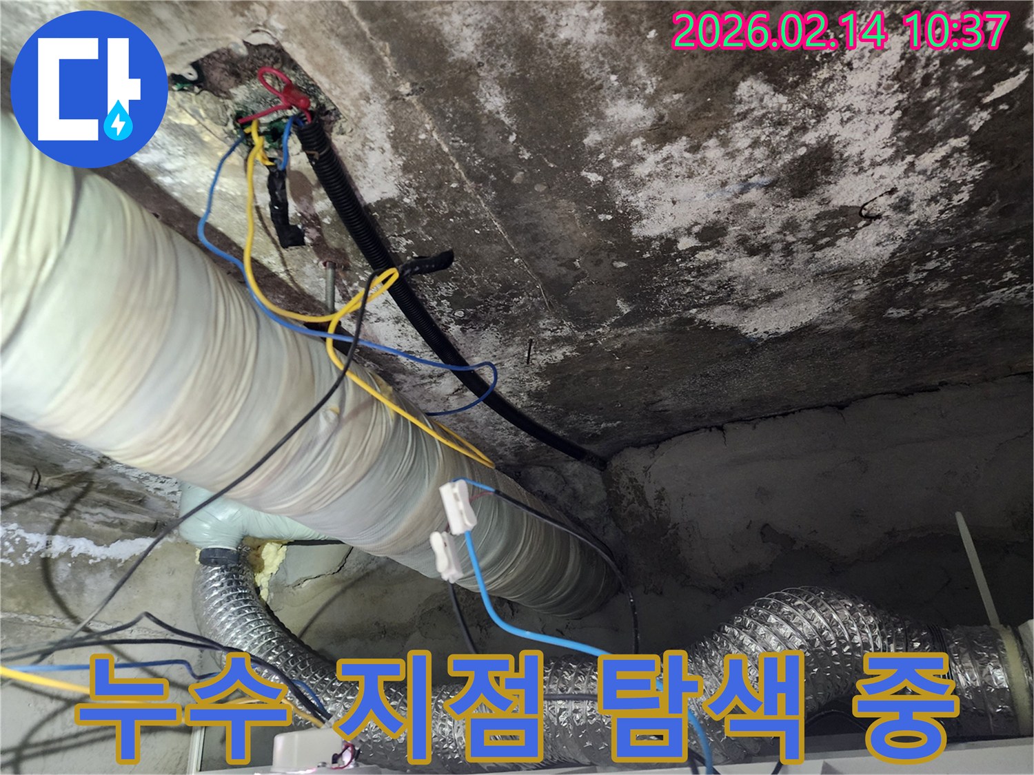 복잡하게-얽힌-전선과-배관-사이에서-누수-지점-추적