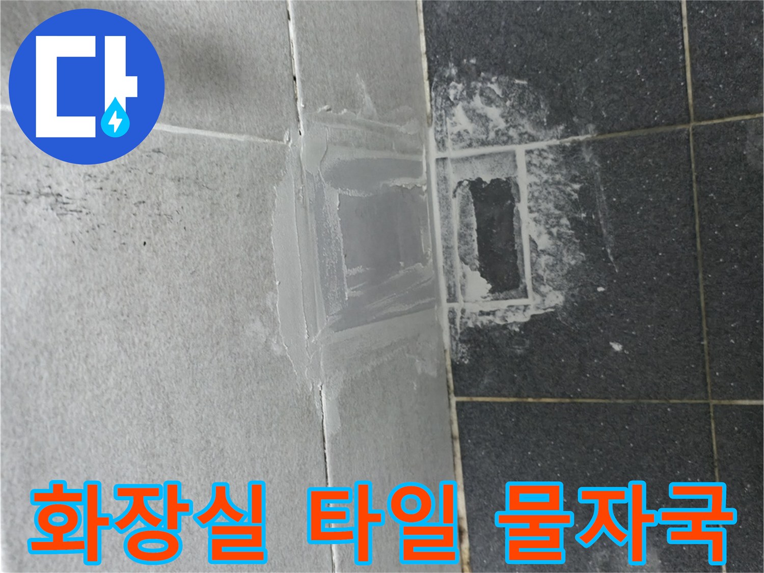 벽면 하단-타일 사이 습기 침투