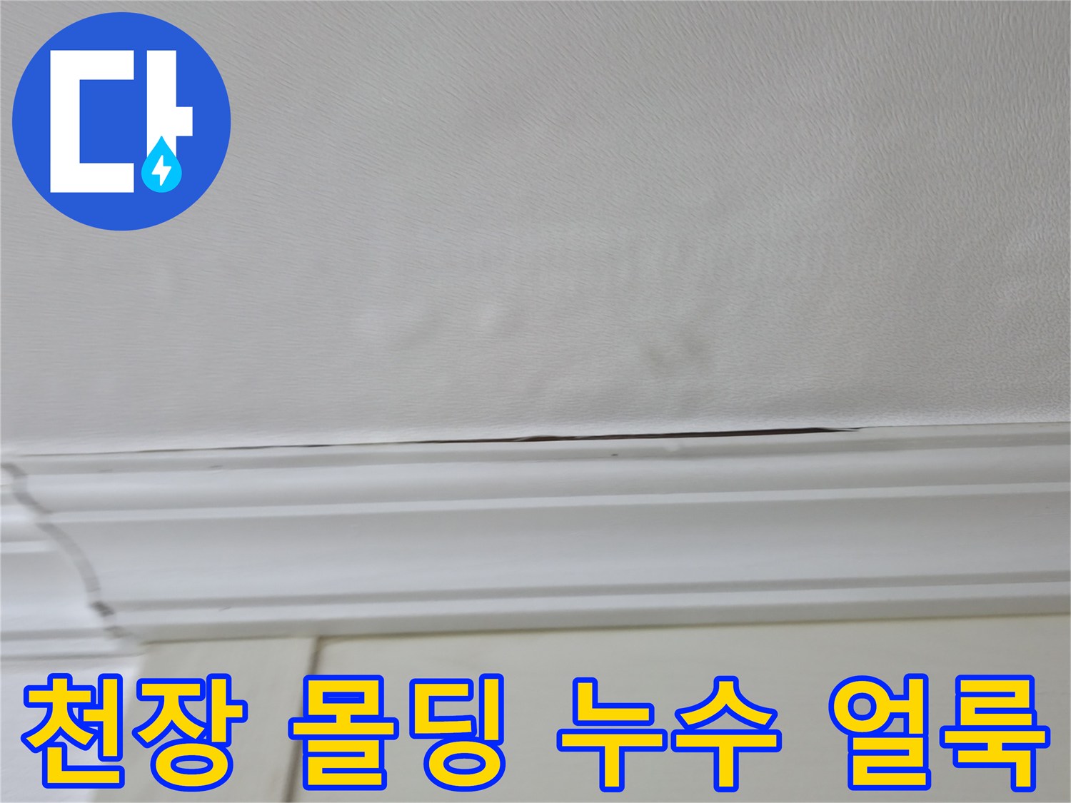 천장과 몰딩 경계면에 나타난 누수 흔적 및 변색