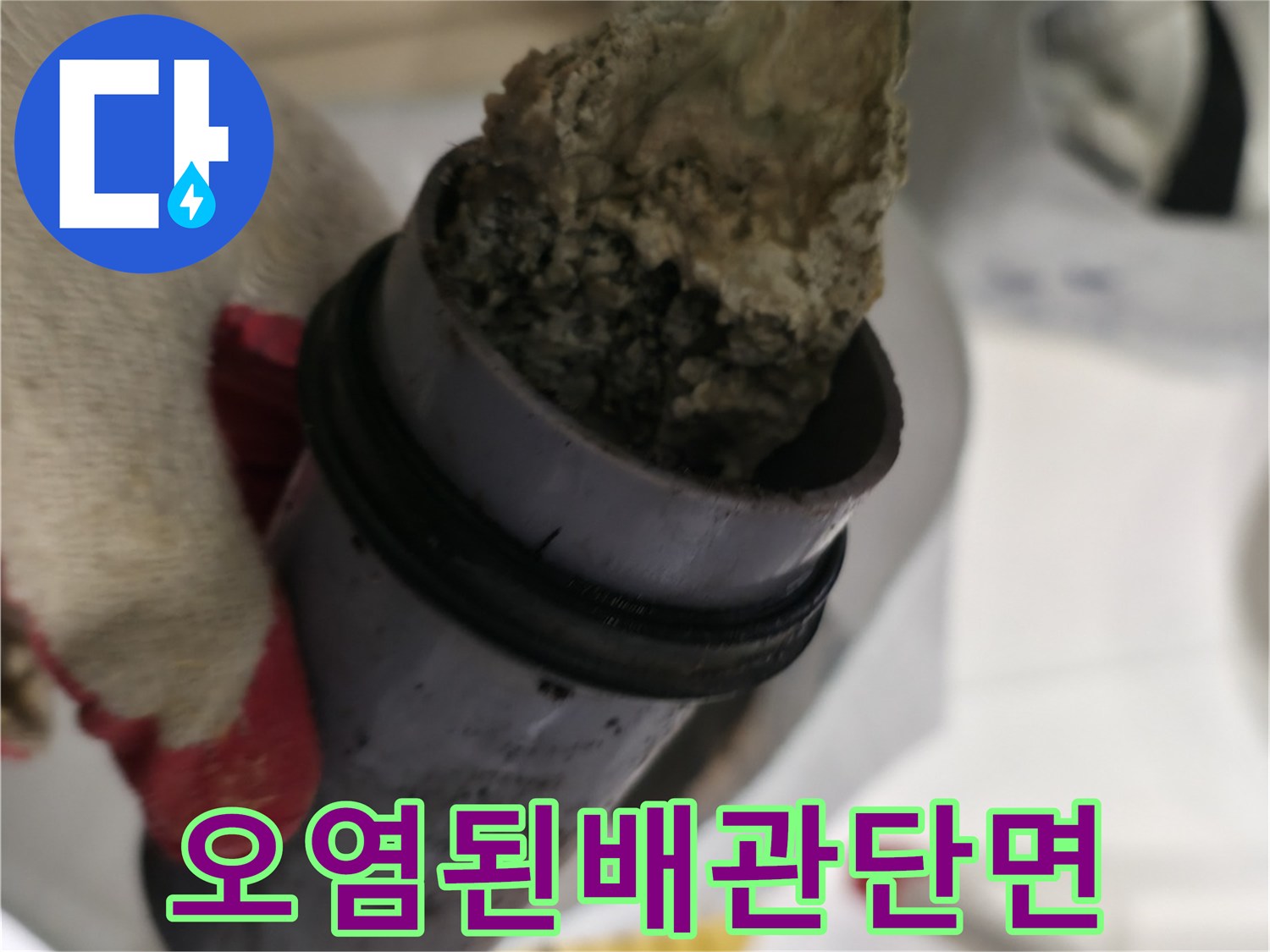 교체 작업을 위해 잘라낸 오염된 하수 배관의 모습