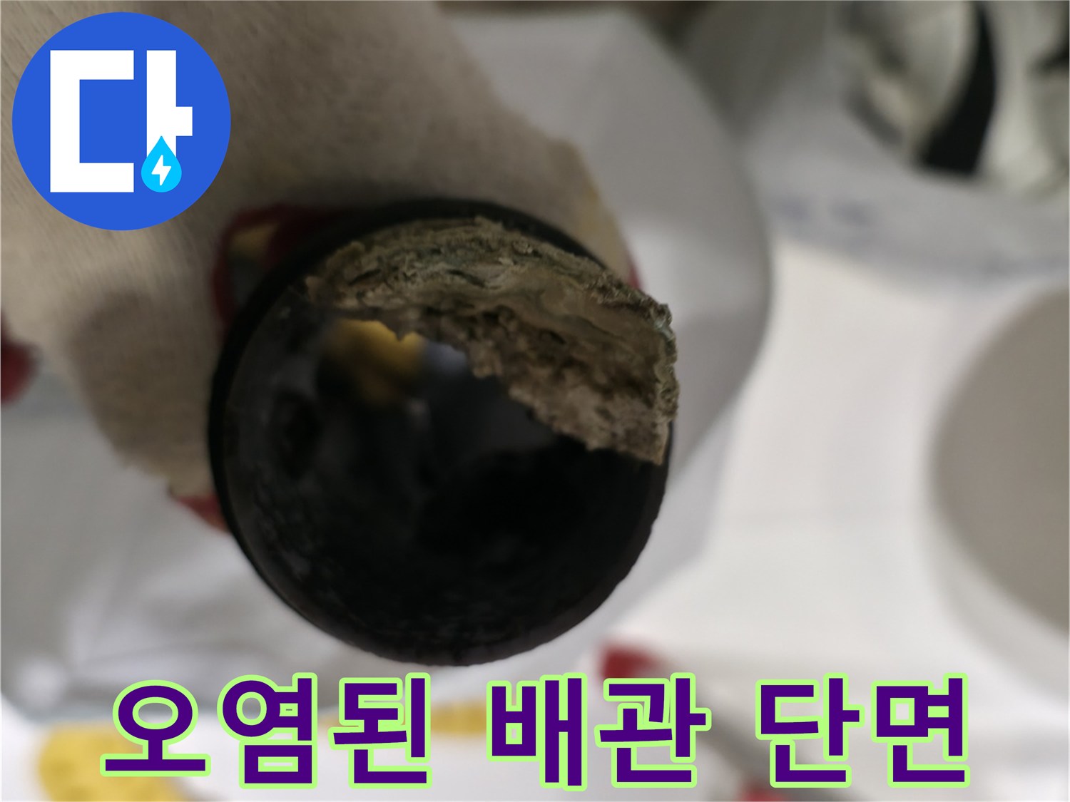 내부 오염이 심한 하수 배관의 절단 부위 모습