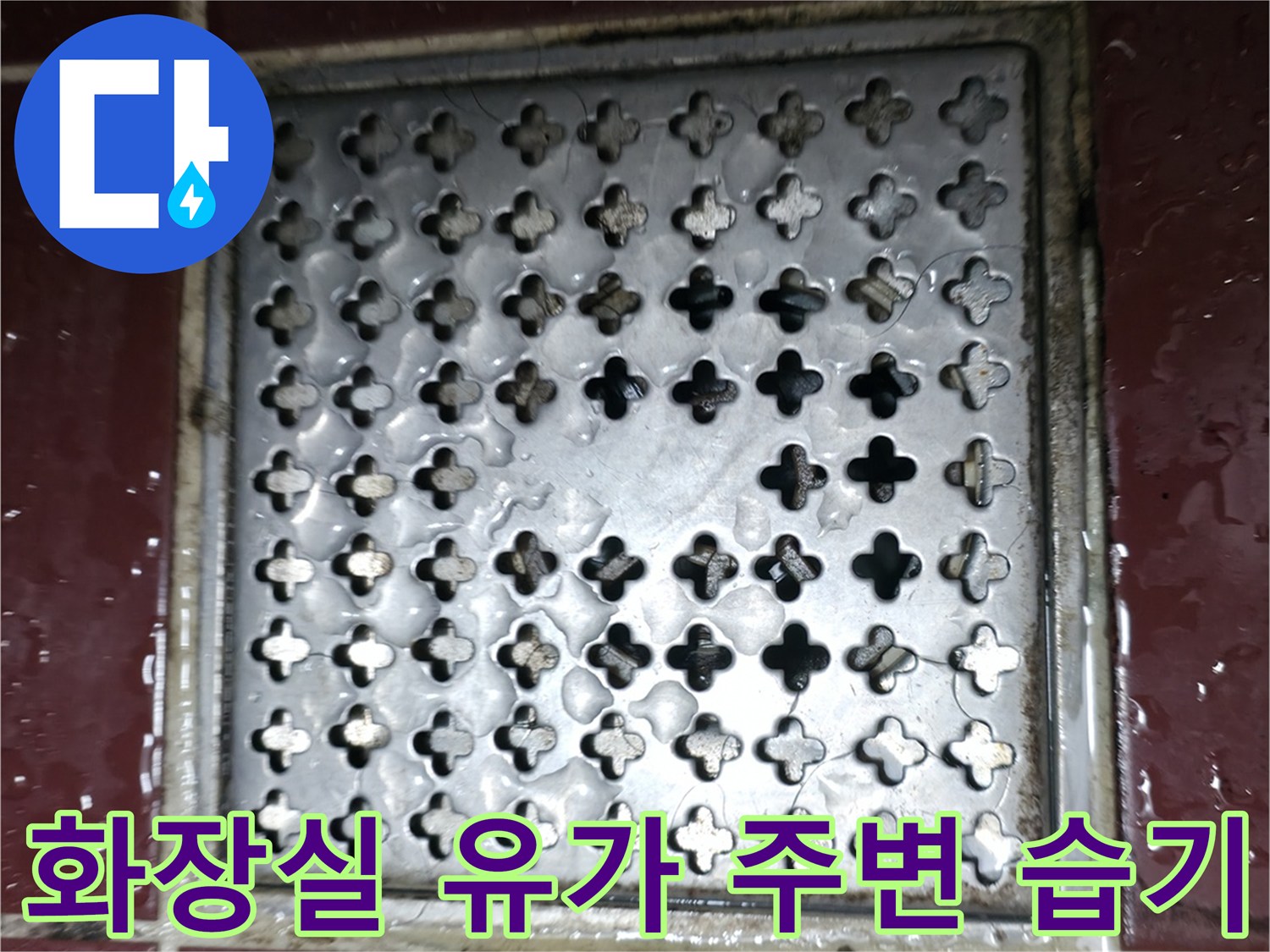 습기가 머물러 있는 화장실 배수구 유가 근처 타일