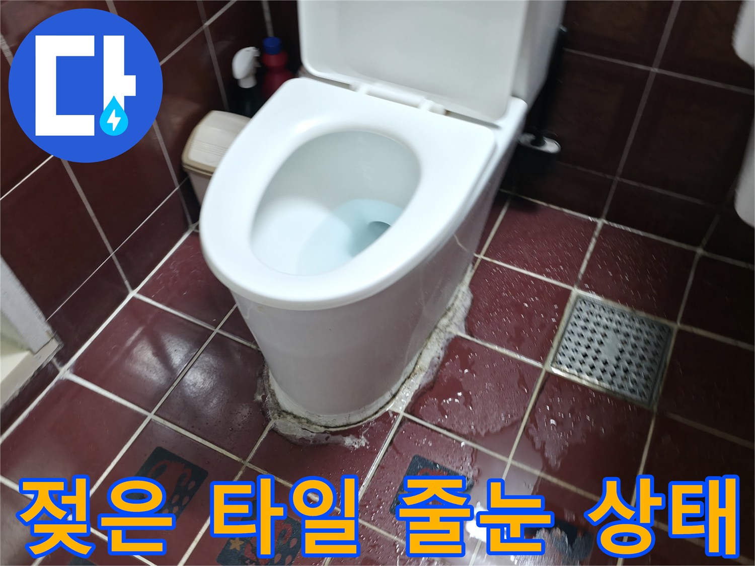 양주 백석읍-물기가 맺혀 있는 변기 아래와 배수구 주변 타일