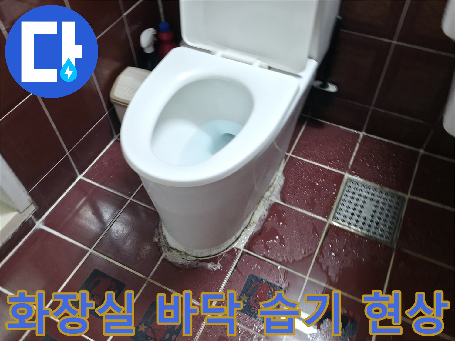 양주 백석읍 화장실-변기 주변 타일 사이 물 고임 확인