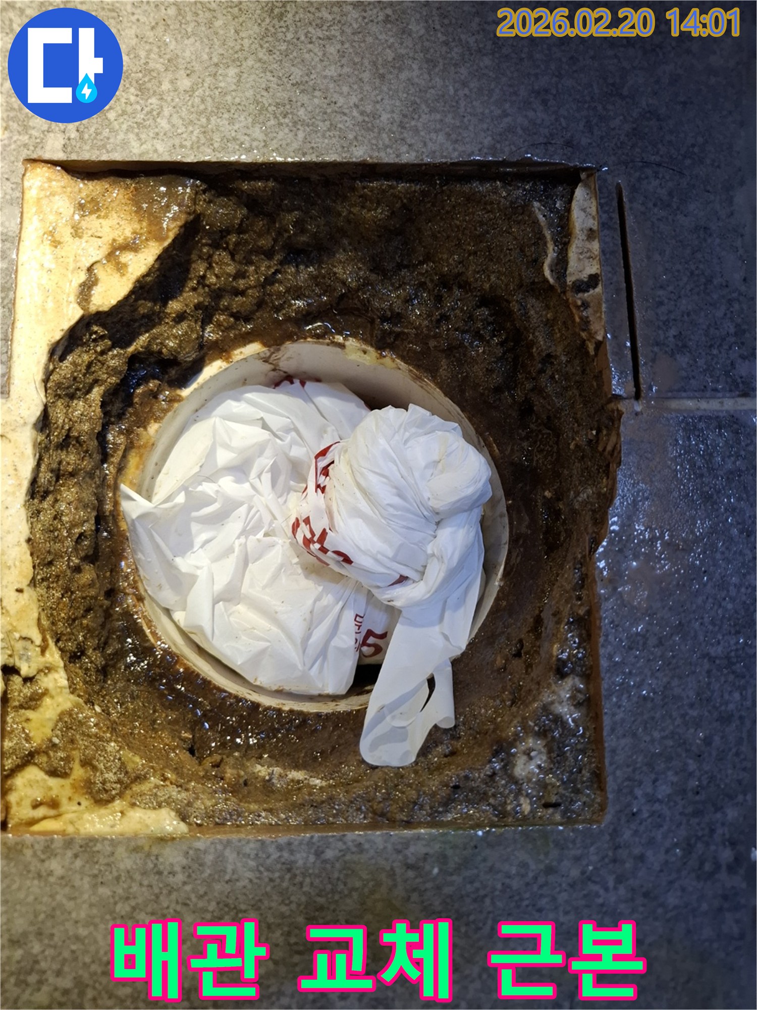 오물과 비닐로 심각하게 막힌 노후 배관-누수 재발 방지를 위한 교체 작업 현장