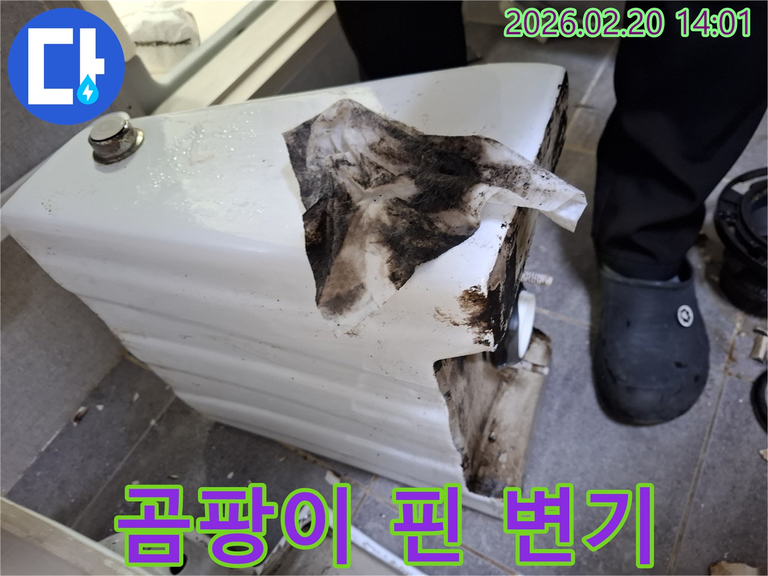 화장실 변기에서-물이 새어 나와-바닥과 변기 자체에-심각한 오염을 유발한-모습