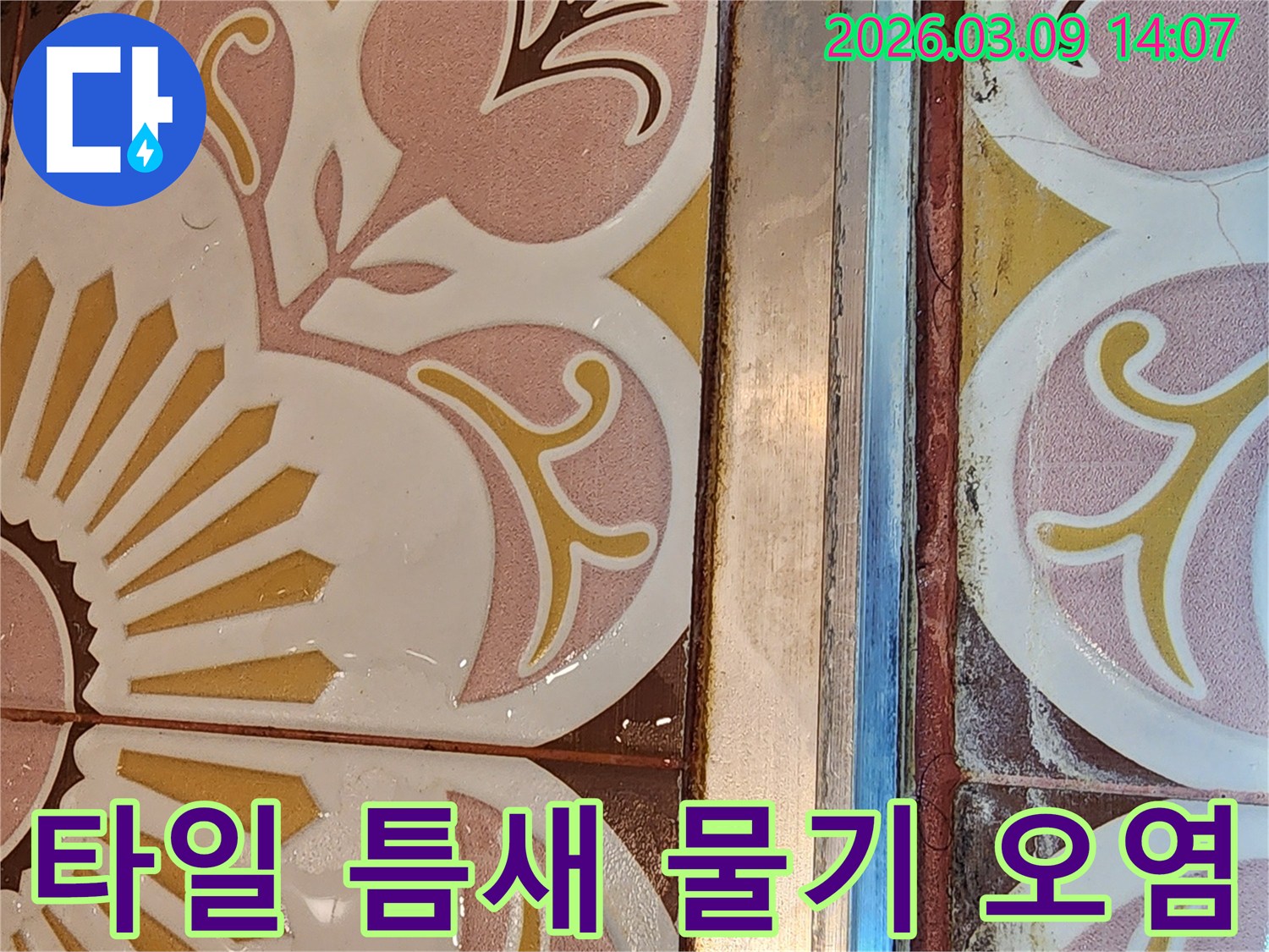 타일 줄눈과 가장자리에 물기가 스며들어-오염된 누수 현장을 보여주는 사진입니다.