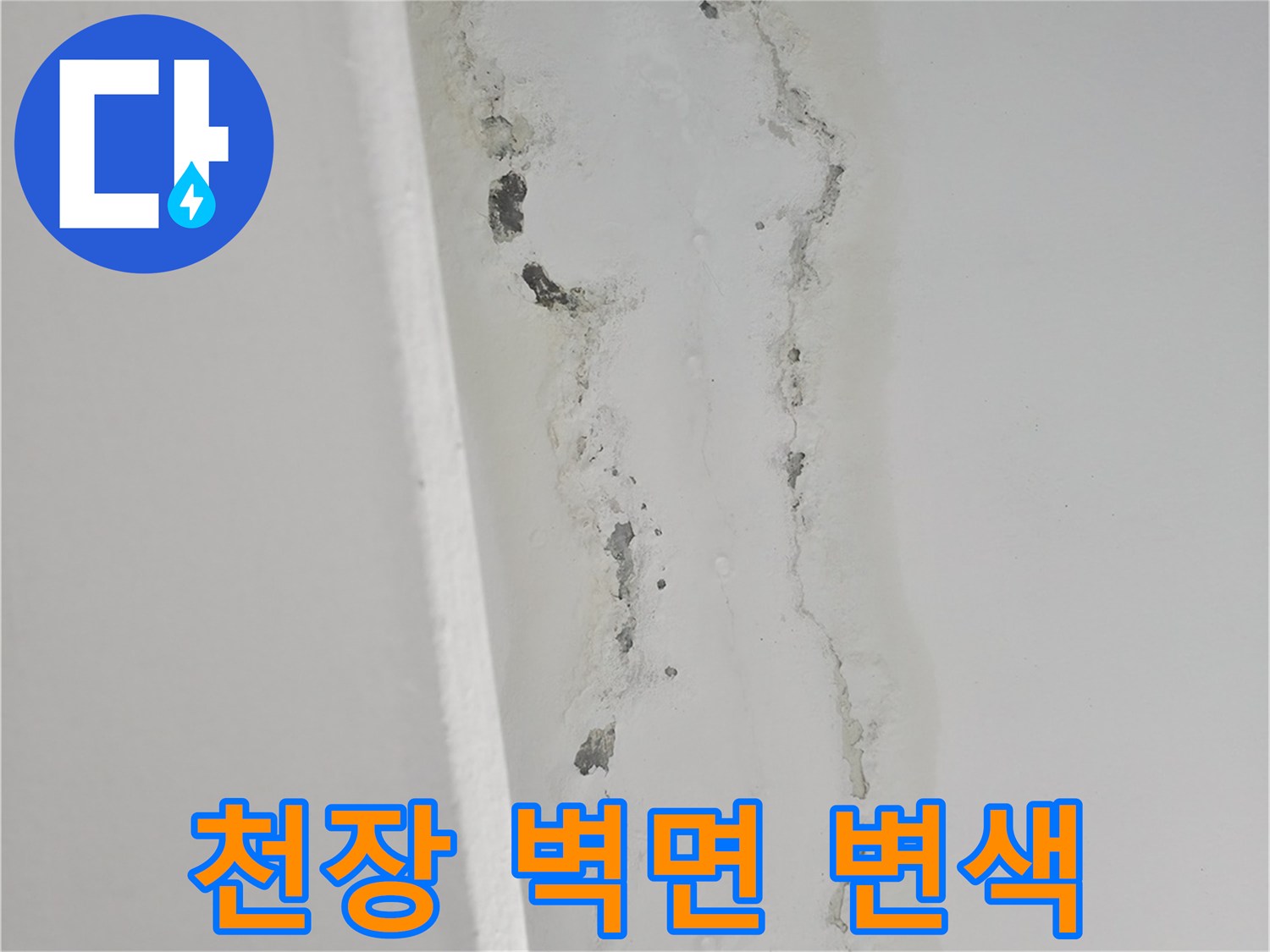 습기로 인해 변색된 천장 마감재와 벽면 상태
