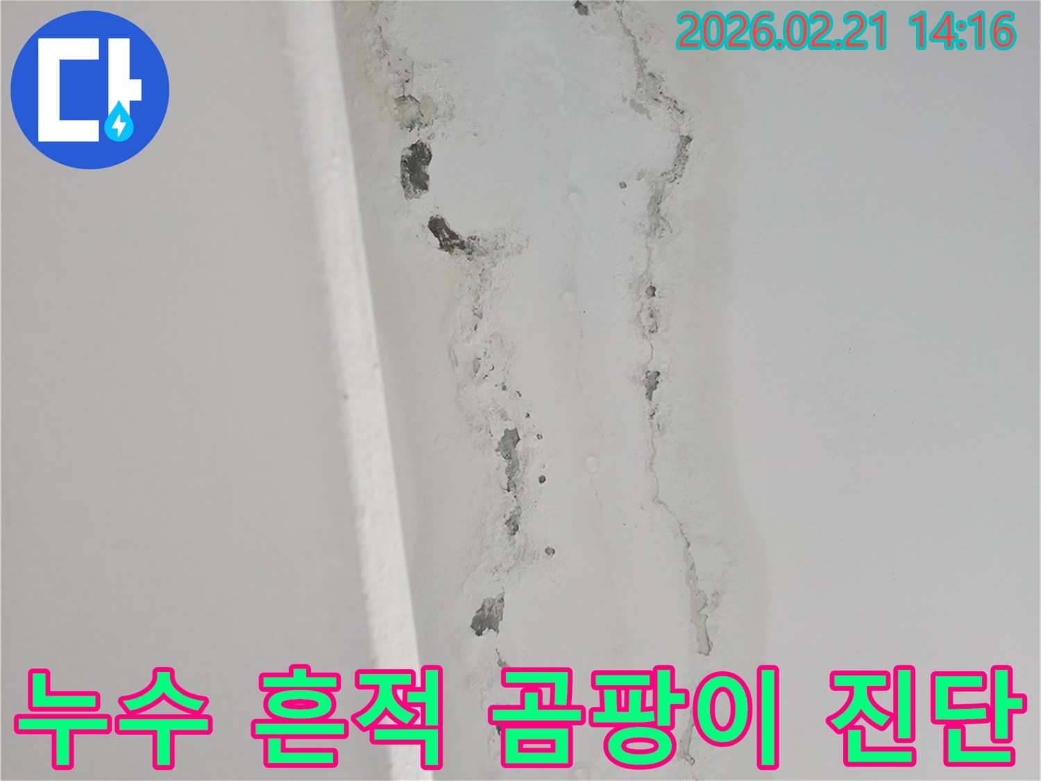 천장-누수로-인해-벽면에-발생한-심각한-곰팡이와-물자국을-보여주는-사진