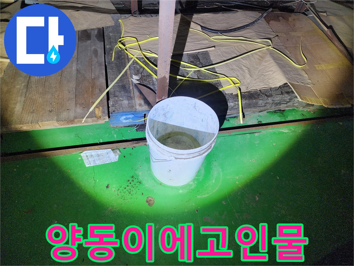 누수된 물을 받기 위해 배치된 흰색 양동이