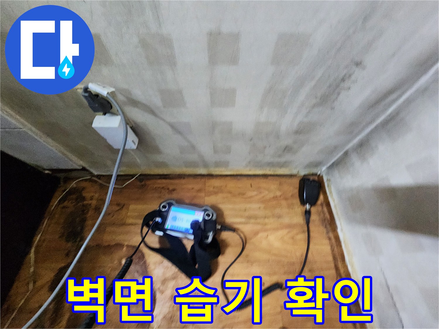 벽지 변색 부위와 탐지 장비가 함께 보이는 현장