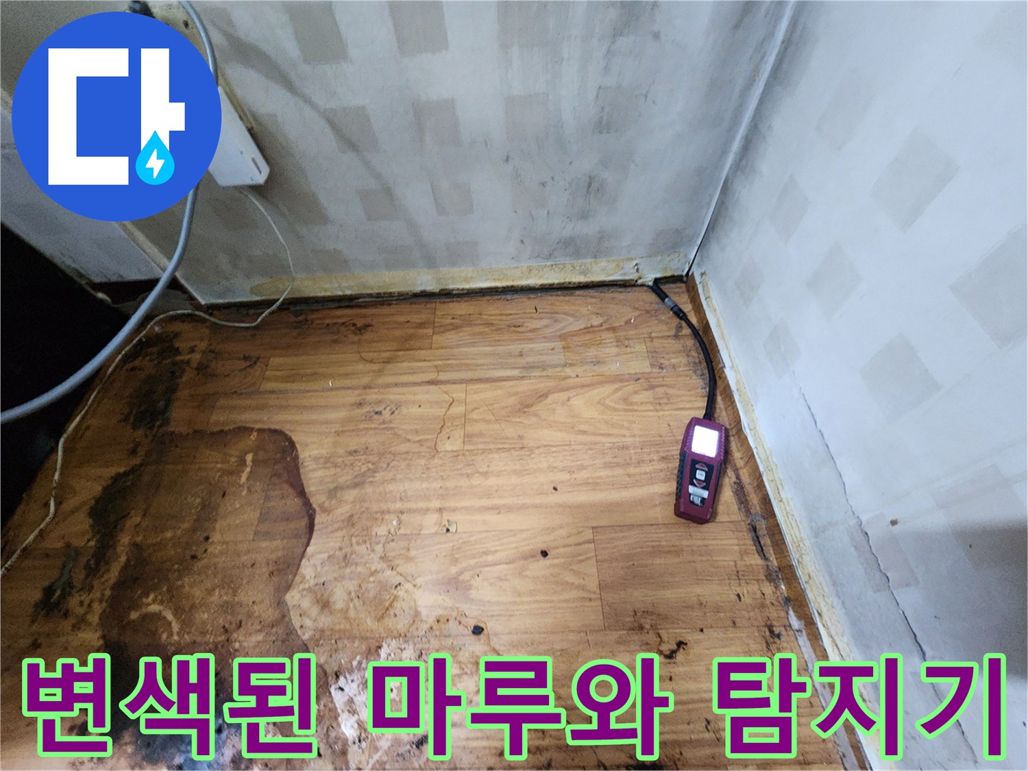 장곡동 현장-젖은 바닥재와 누수 탐지 장비 배치