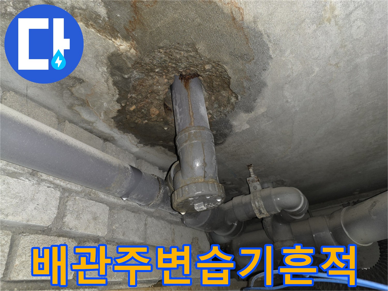 화장실-천장-배관-주변의-심한-습기와-오염된-콘크리트-상태