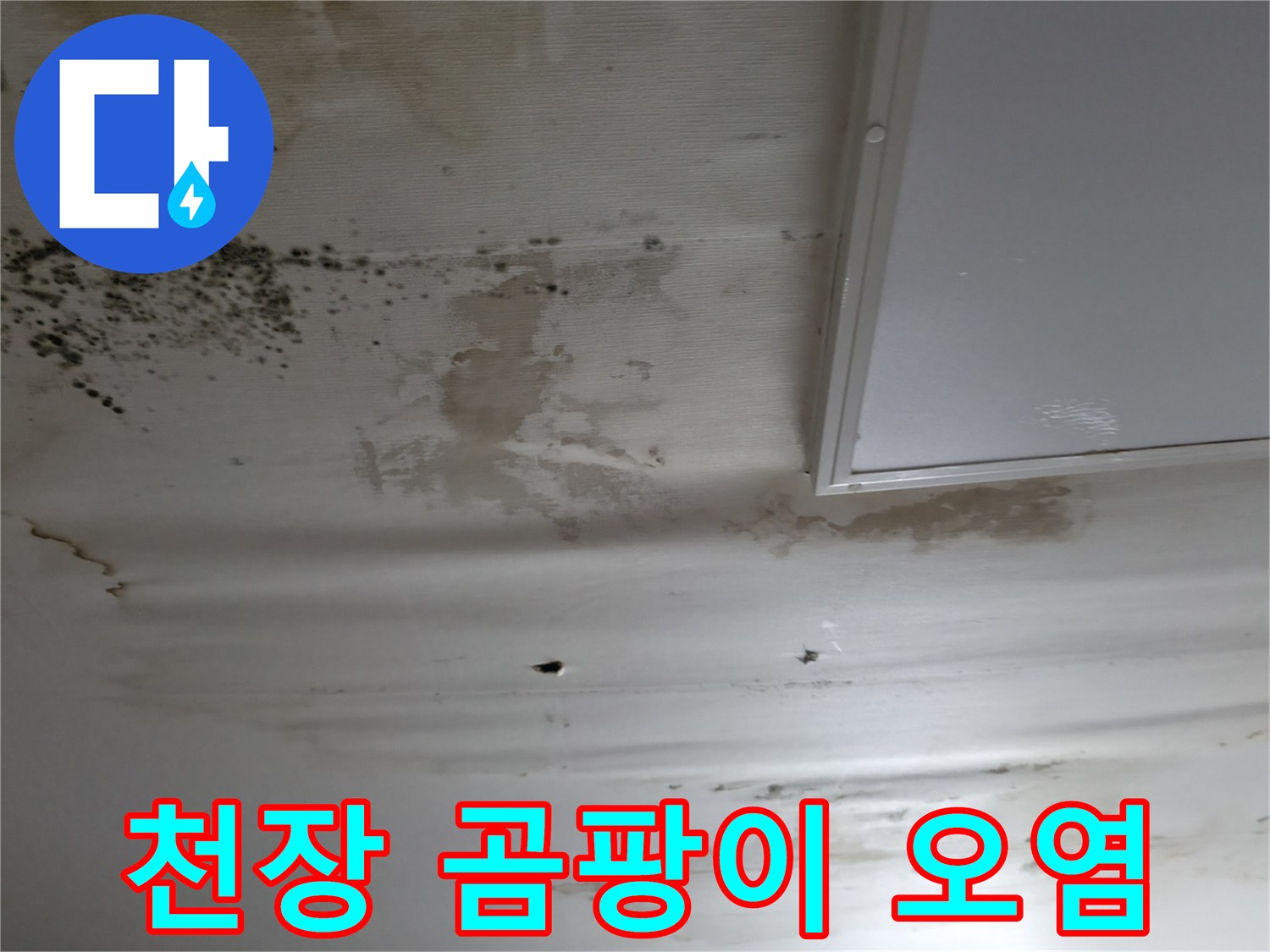 강남구 다용도실 천장의 심한 곰팡이와 벽지 변색 상태
