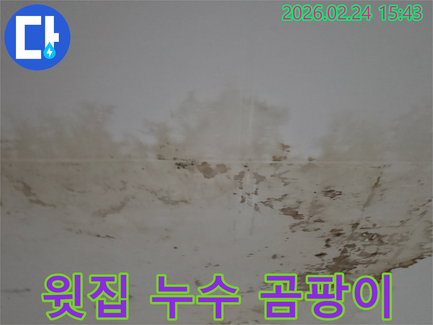 윗집 누수로 인해 천장에 생긴 심한 곰팡이와 물얼룩-긴급한 조치가 필요한 상황