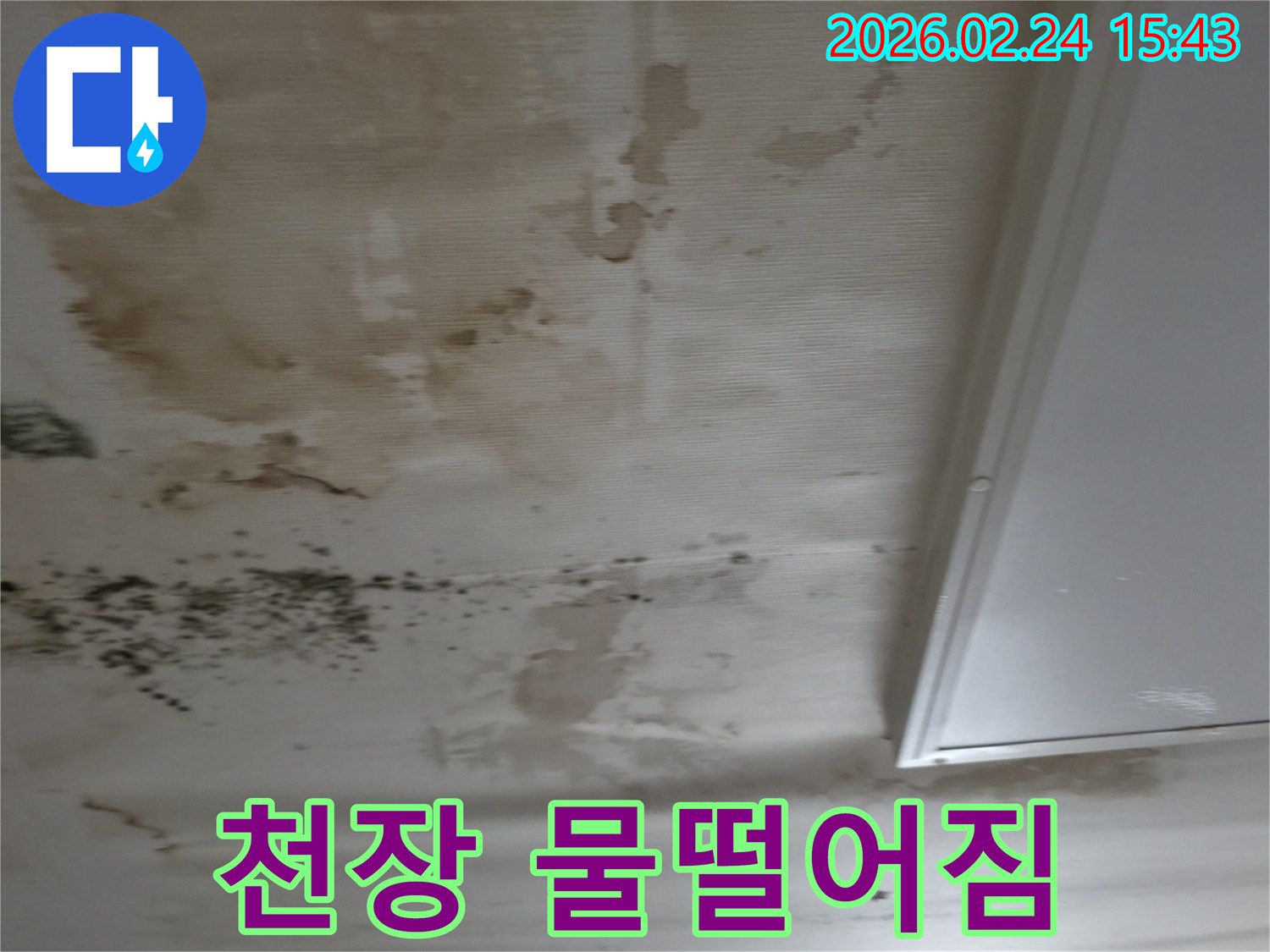 천장에서 물이 떨어지고-벽지에 물얼룩과-곰팡이가 발생한-긴급 누수 상황