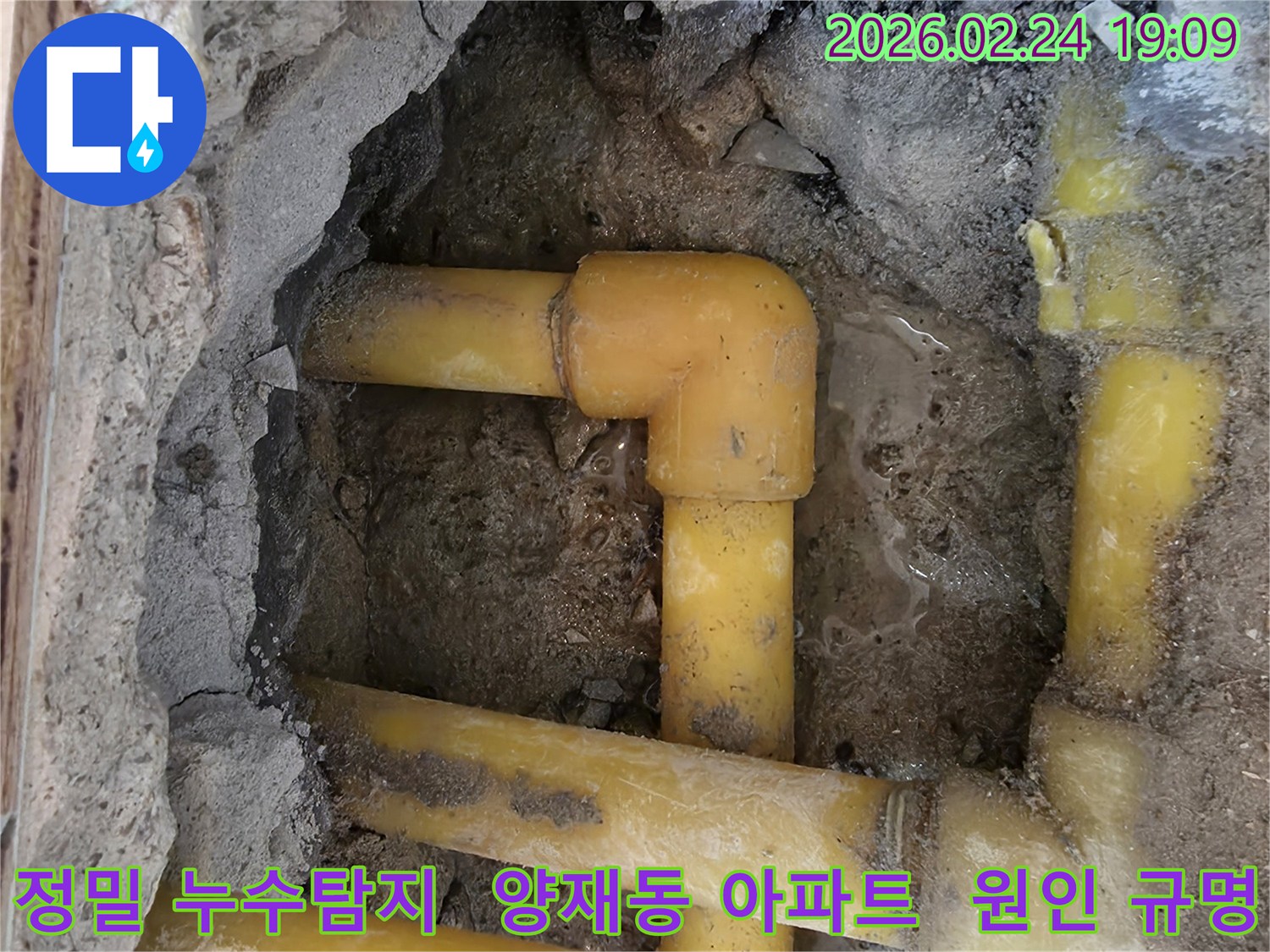 양재동 아파트의-누수-현장에서-정밀-탐지-후-발견된-배관의-모습