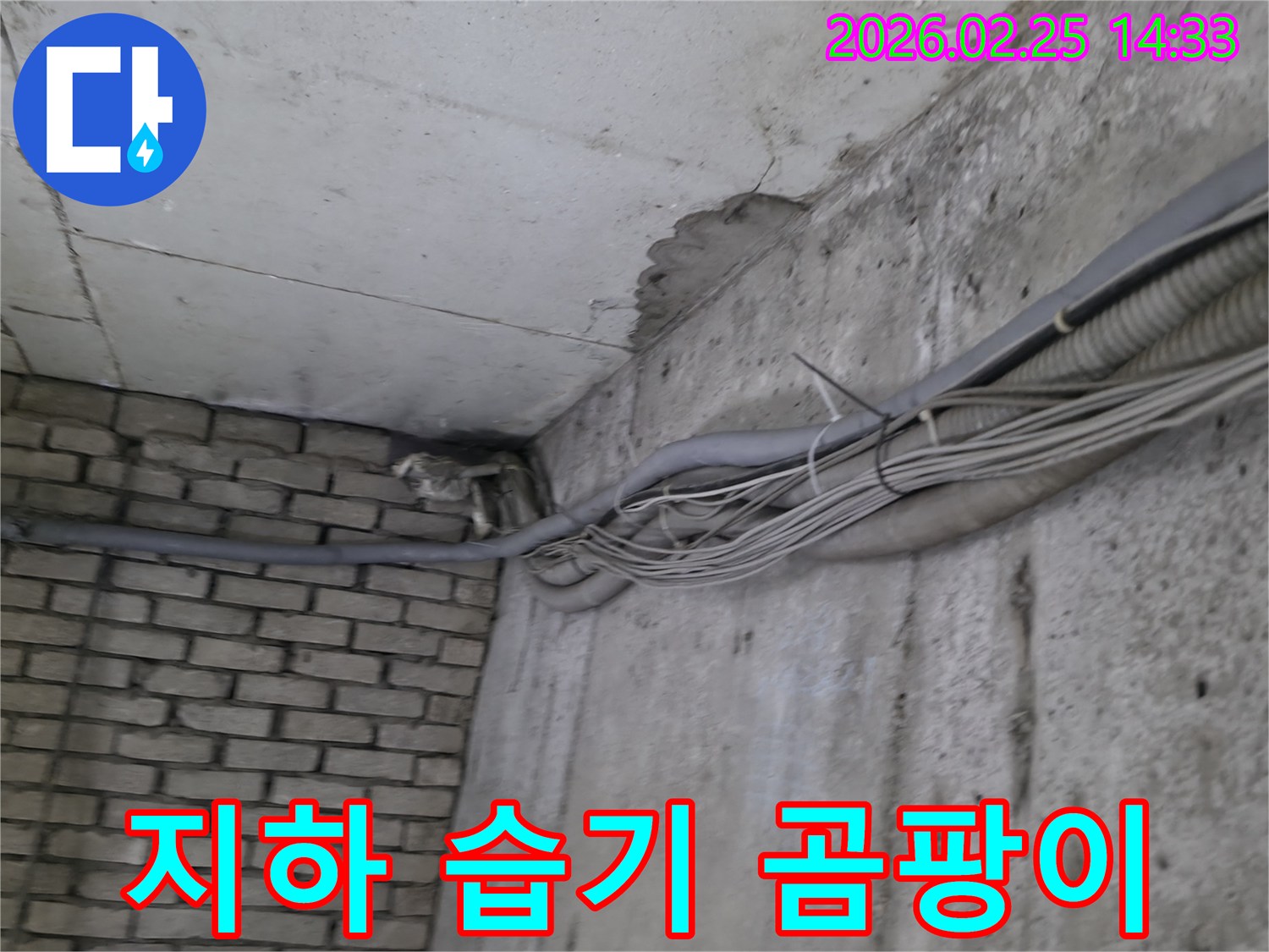 건물 지하의-콘크리트 벽과-벽돌 벽이 만나는-구석에서-발견된-오랜 누수로 인한-습기와-곰팡이 발생 흔적