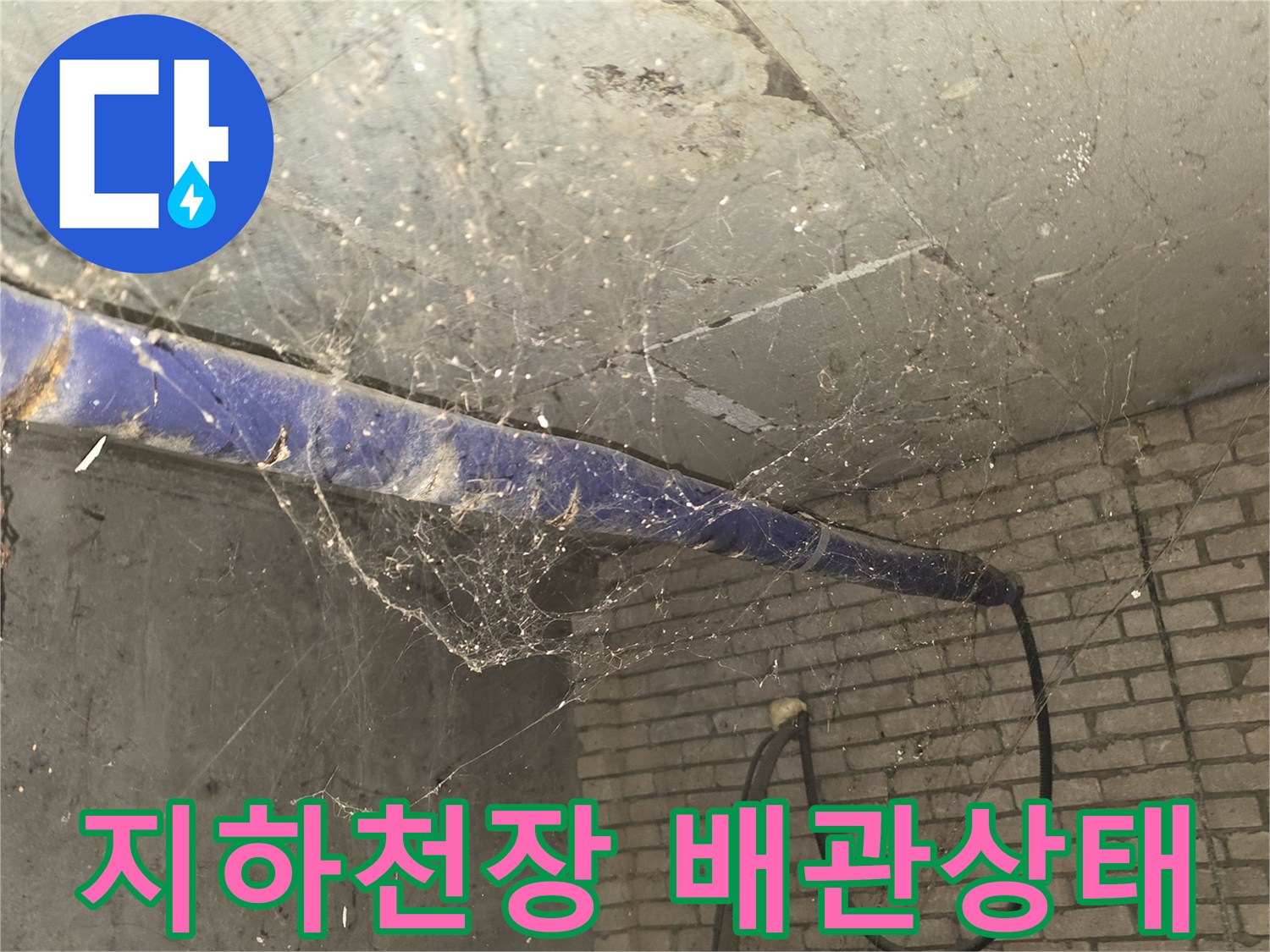 지하 배관실 천장의 누수 흔적과 노후된 배락 부위 모습