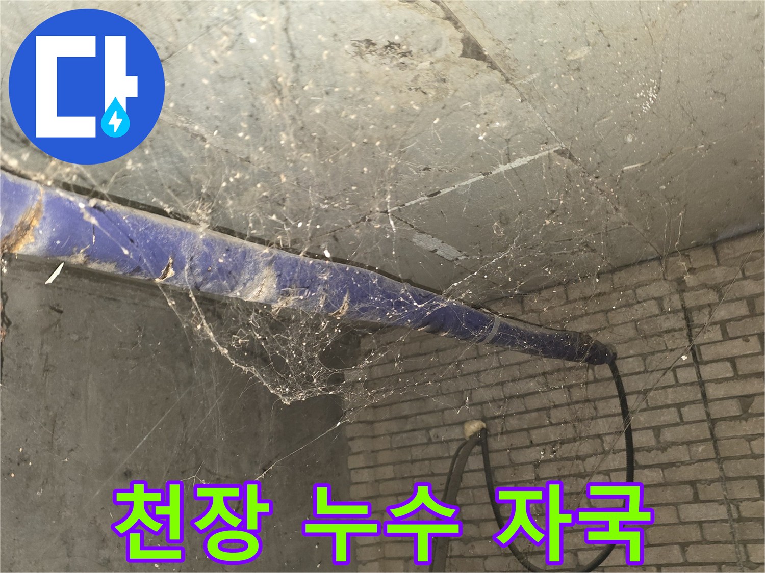 푸른 배관과 오염된 천장 벽돌의 모습