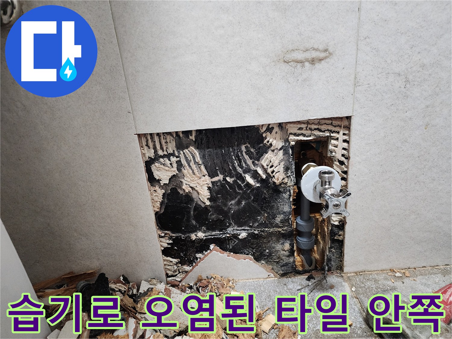 벽 내부의 젖은 벽체와 검은 변색 부위 노출