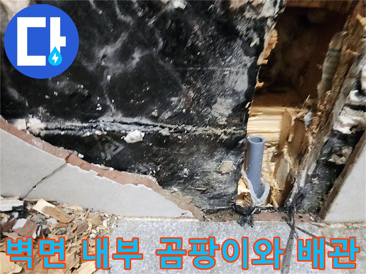 화장실 벽체 내부-곰팡이가 번식한 모습-누수 원인 파악 중