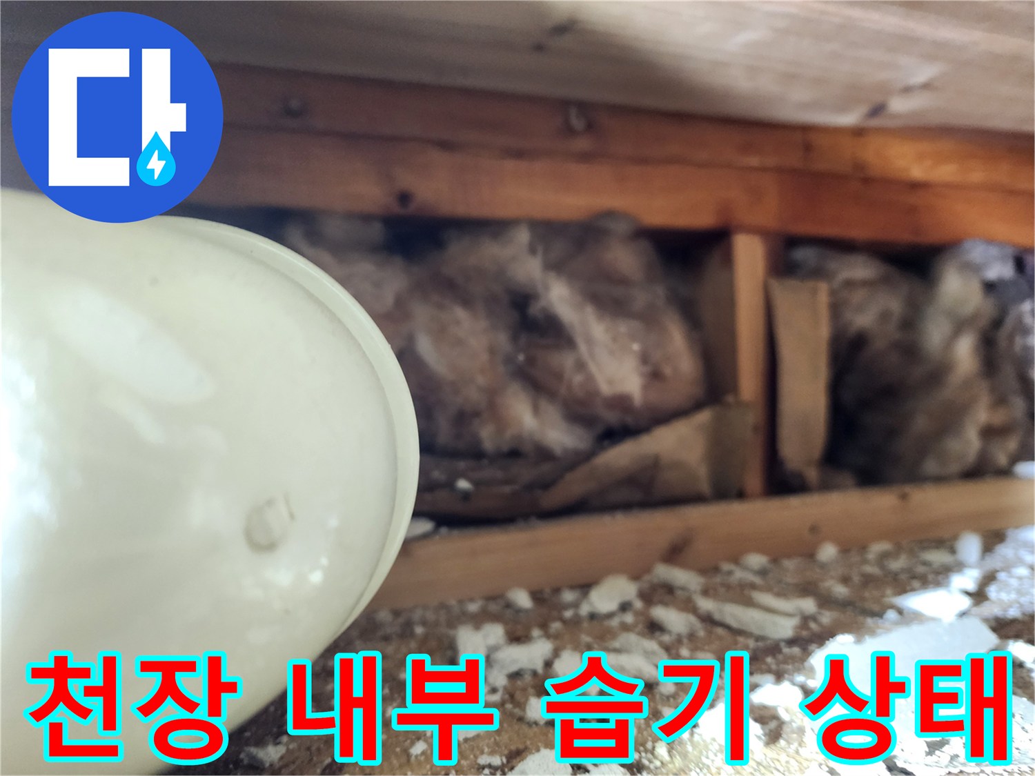 화장실 천장 내부-습기로 인한 변색과 곰팡이 확인