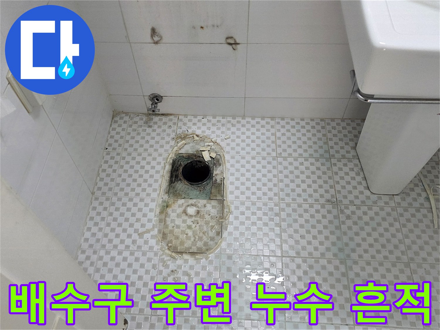 화계동 욕실 하수구 근처의 타일 틈새 오염 및 물 고임 상태