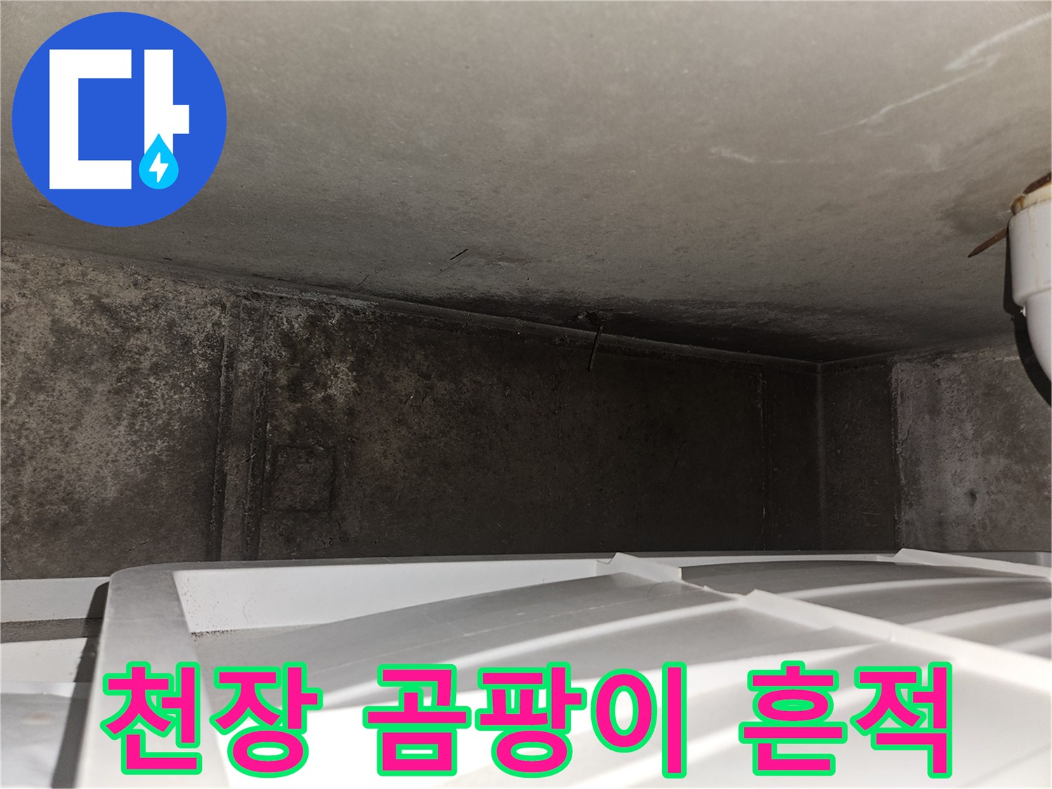 누수 피해가 진행된 천장 내벽-습기와 곰팡이가 관찰되는 부위
