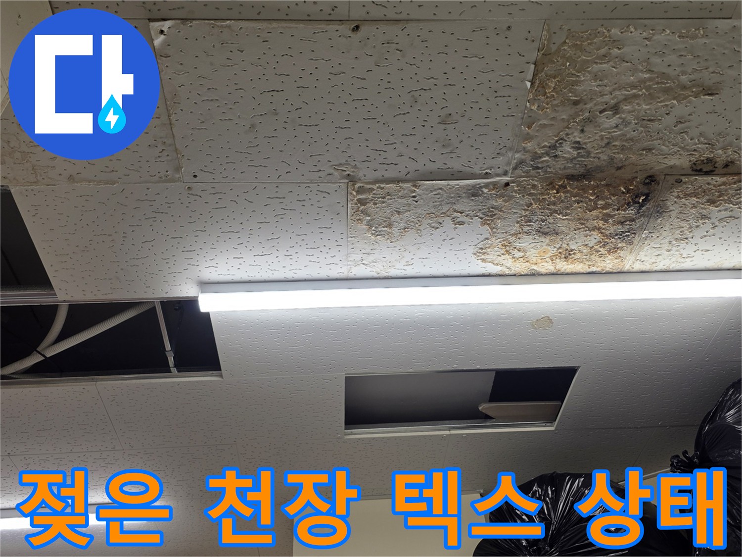 물에 젖어 변색된-천장 텍스 부분