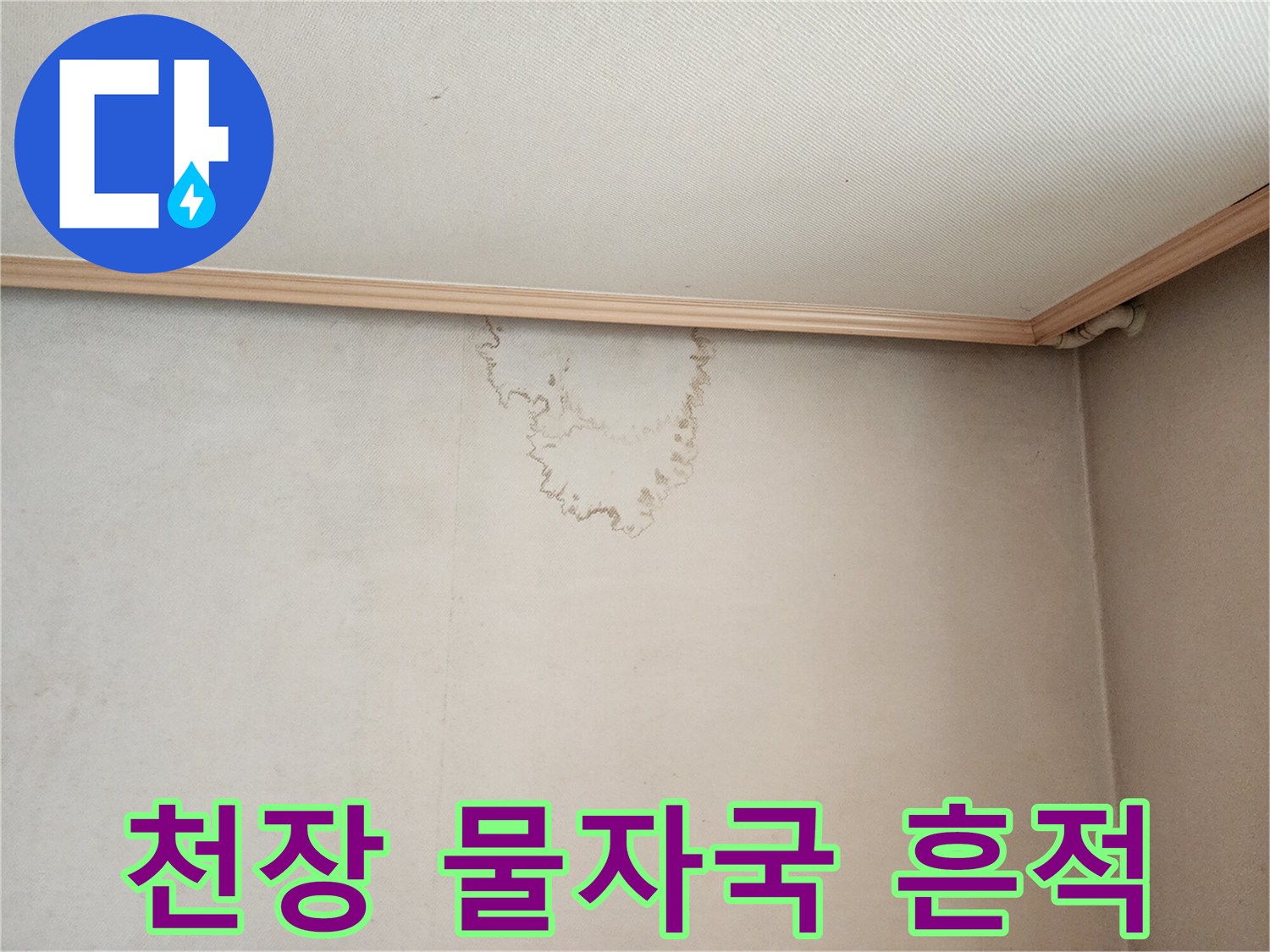 종로구 거실 천장의 불규칙한 수분 얼룩 현상