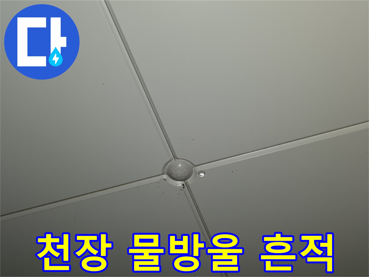 아파트-천장-패널-사이-물방울-맺힘-현상