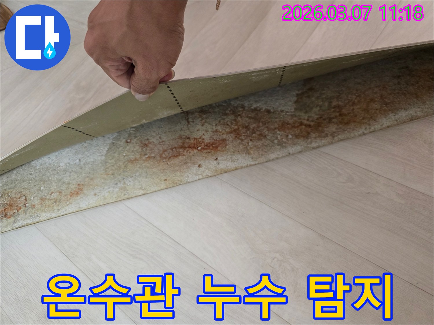 장판-밑에-숨겨진-녹물-자국과-물기-흔적이-뚜렷한-현장