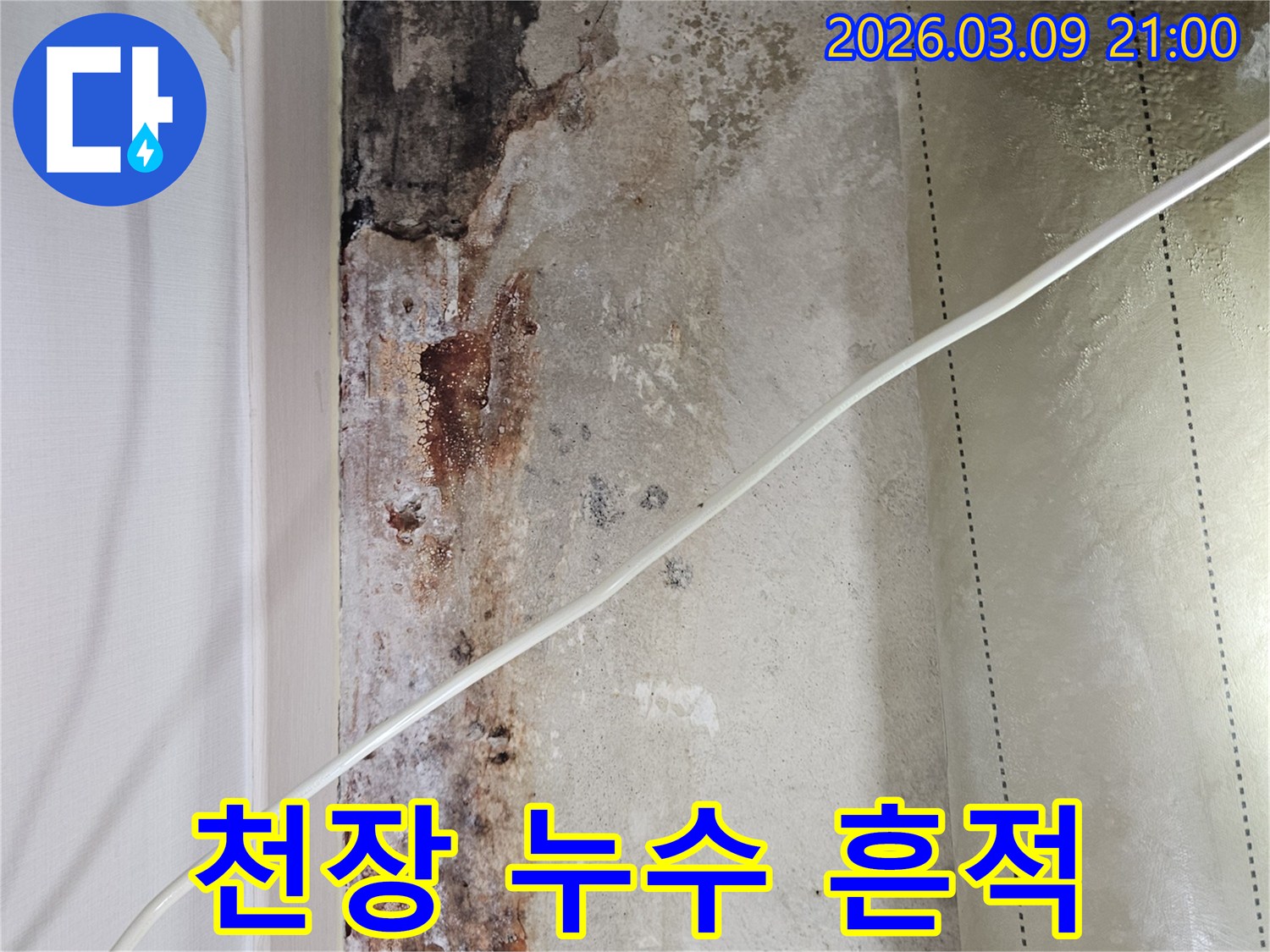 천장-누수로-인해-발생한-물자국과-곰팡이-피해-상세-사진