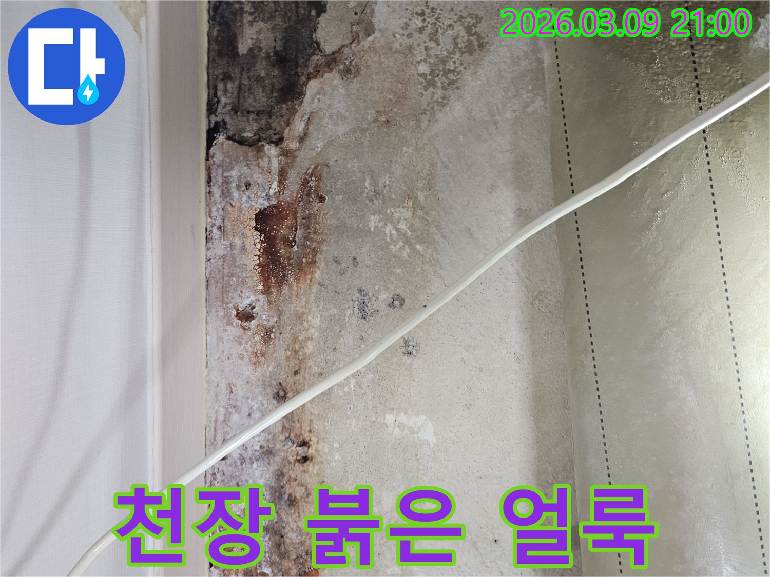 천장-누수로-인해-발생한-붉고-검은-얼룩과-곰팡이-흔적-사진