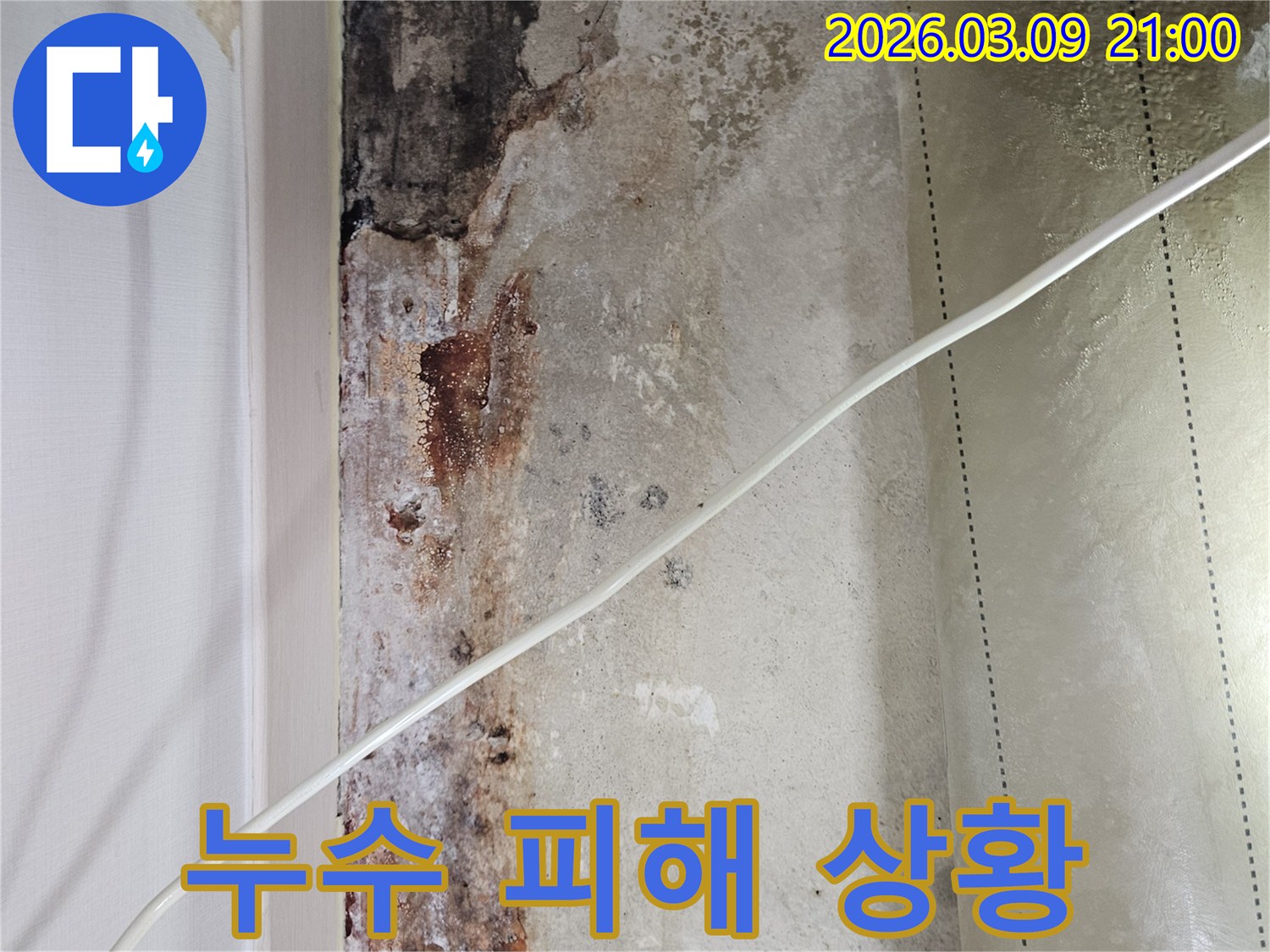 천장-누수로-인해-석고보드-등-마감재가-손상된-모습