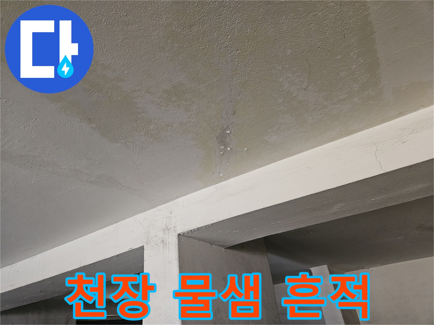 물샘 증상이 나타난 천장 마감재의 변색 부위