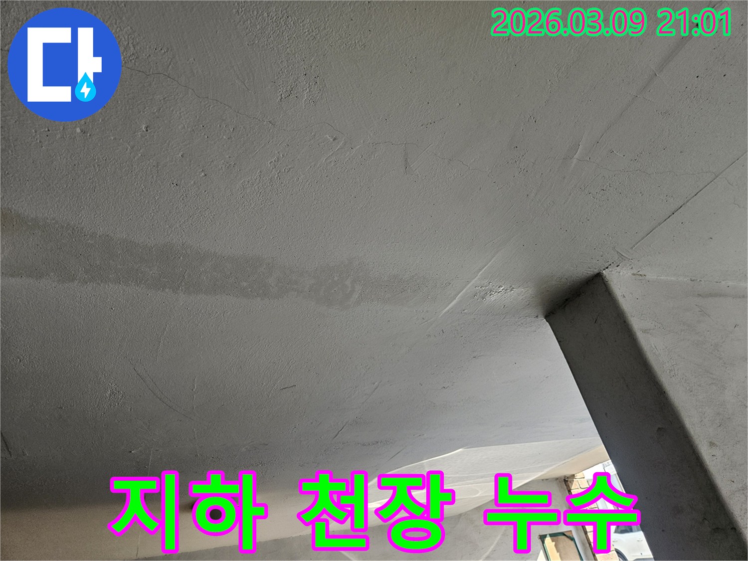빌라-지하-천장에-나타난-누수-흔적을-촬영한-사진
