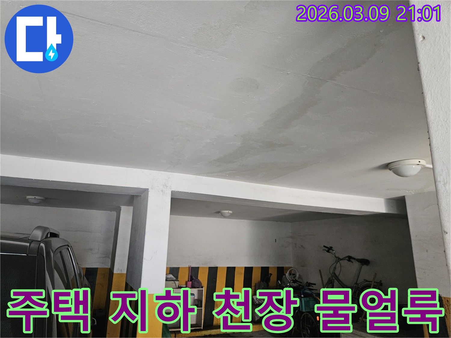 주택 지하 천장에 물이 스며들어 생긴 얼룩-누수 전문가의 신속한 진단이 필요한 상황입니다