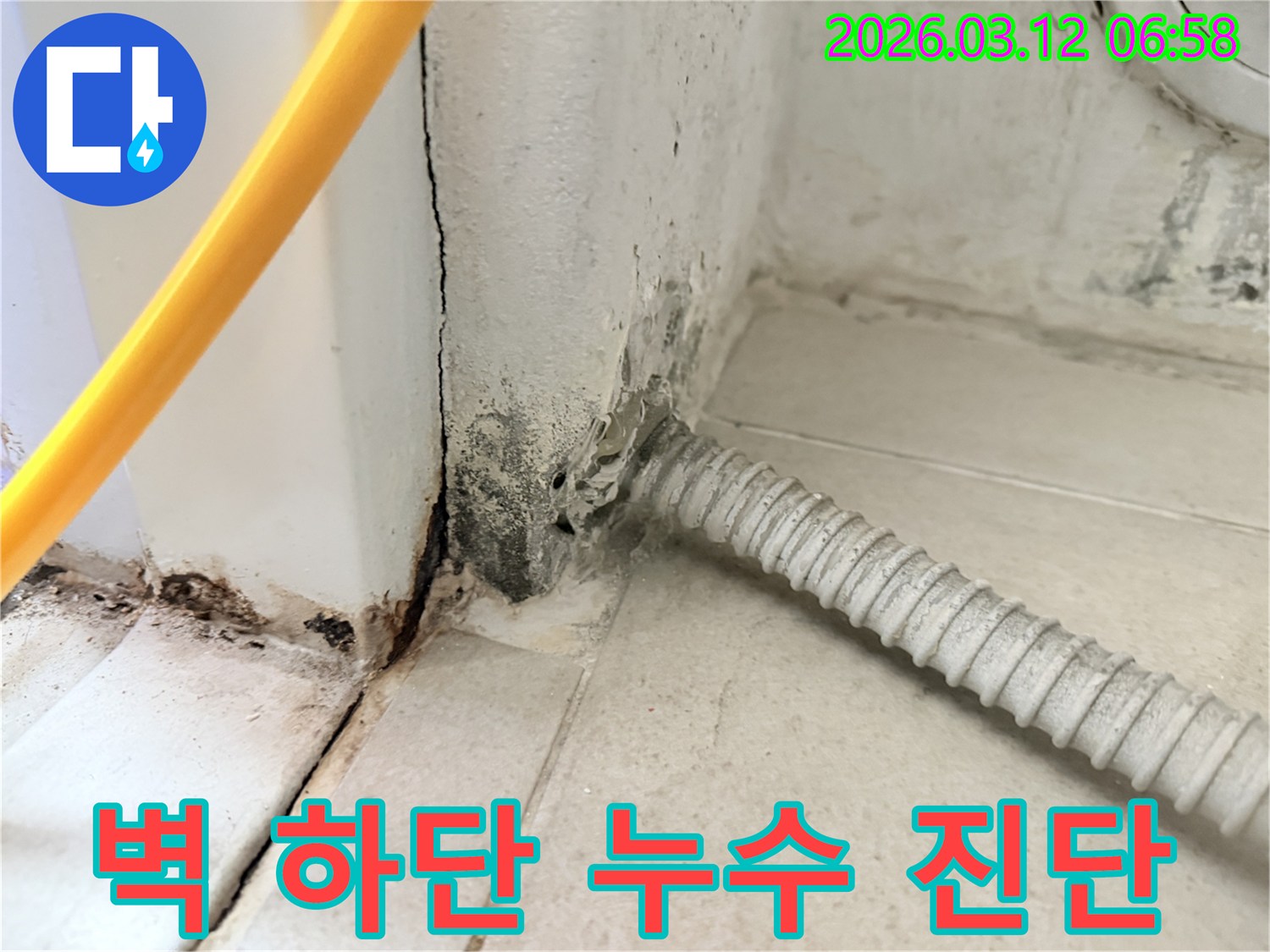 마포구-성산동-주택-벽-하단부의-심각한-누수-흔적과-곰팡이-상태-사진