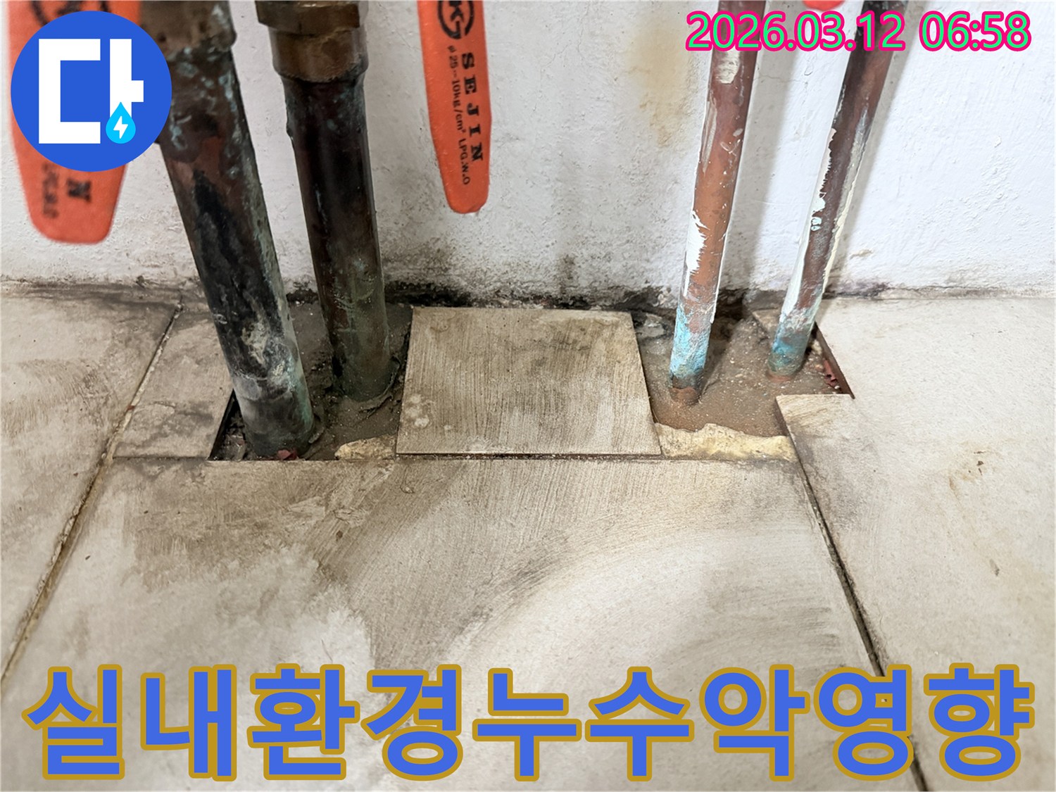 마포구-현장에서-오래된-배관의-누수가-실내-환경과-공기질에-미치는-악영향을-확인하고-있습니다