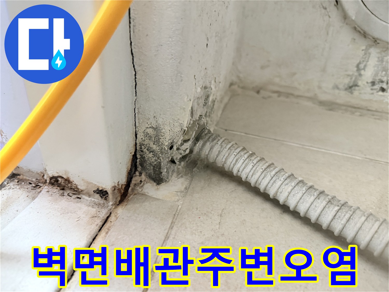 배관-연결부-주변의-검은색-곰팡이와-습기-흔적
