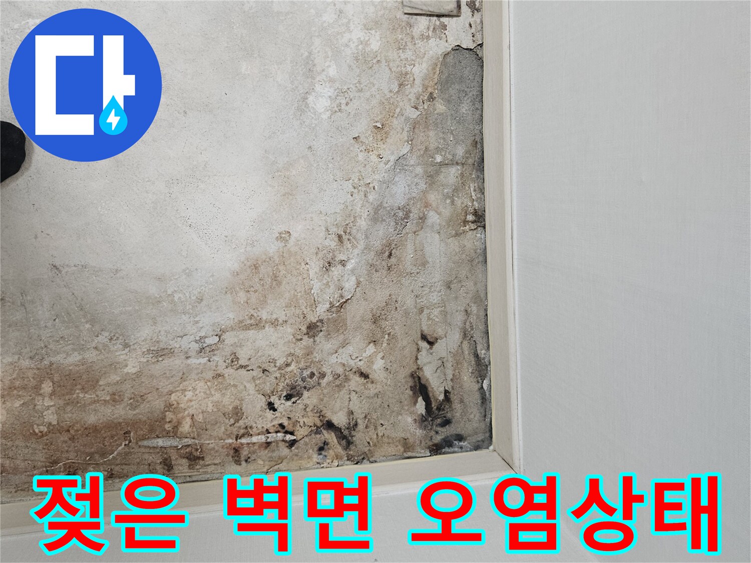 보일내실 구석-물기로 인한 곰팡이 발생 부위