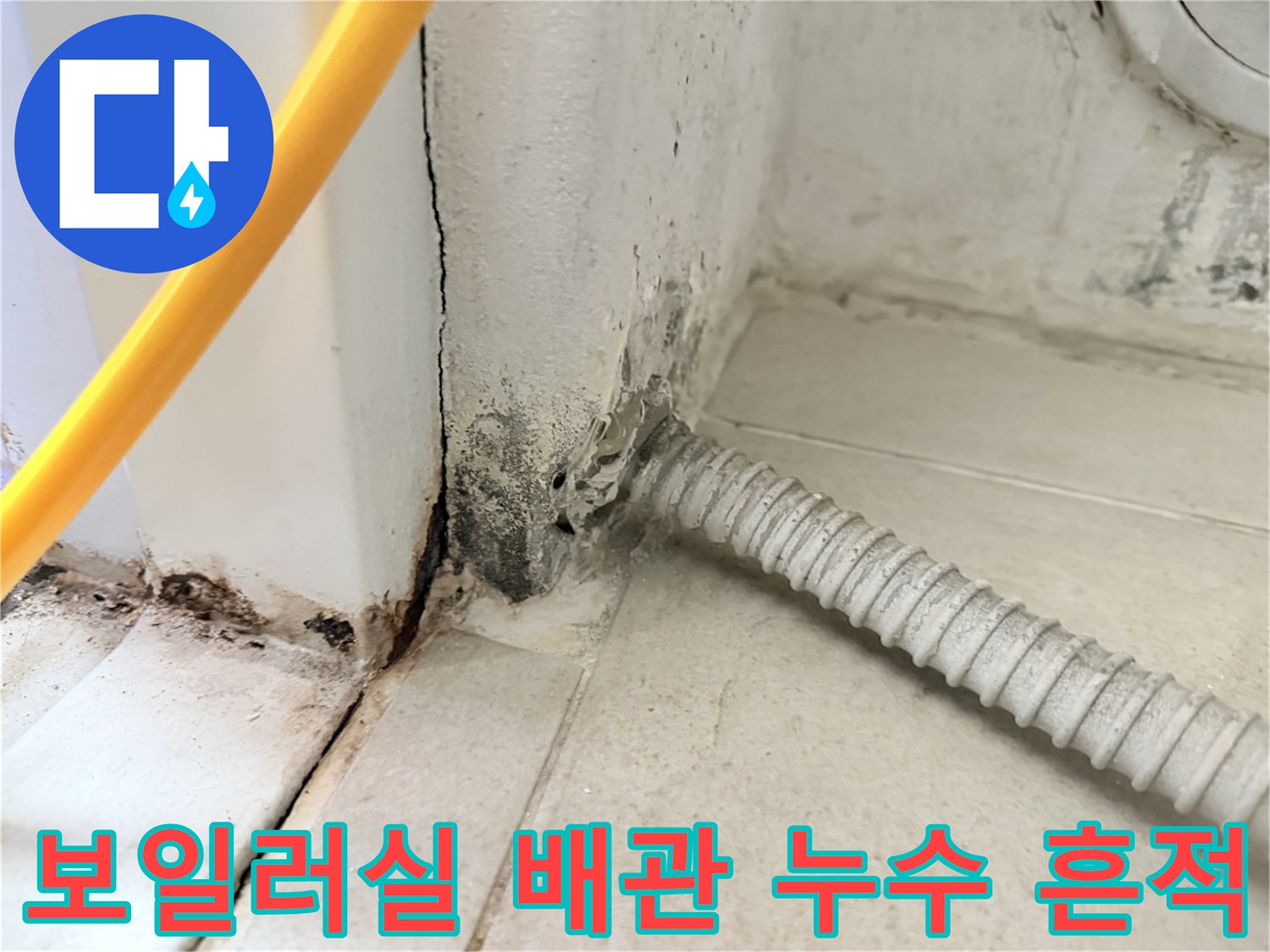 보일러실-벽면-타일-사이-배관-주변-곰팡이-및-물샘-흔적