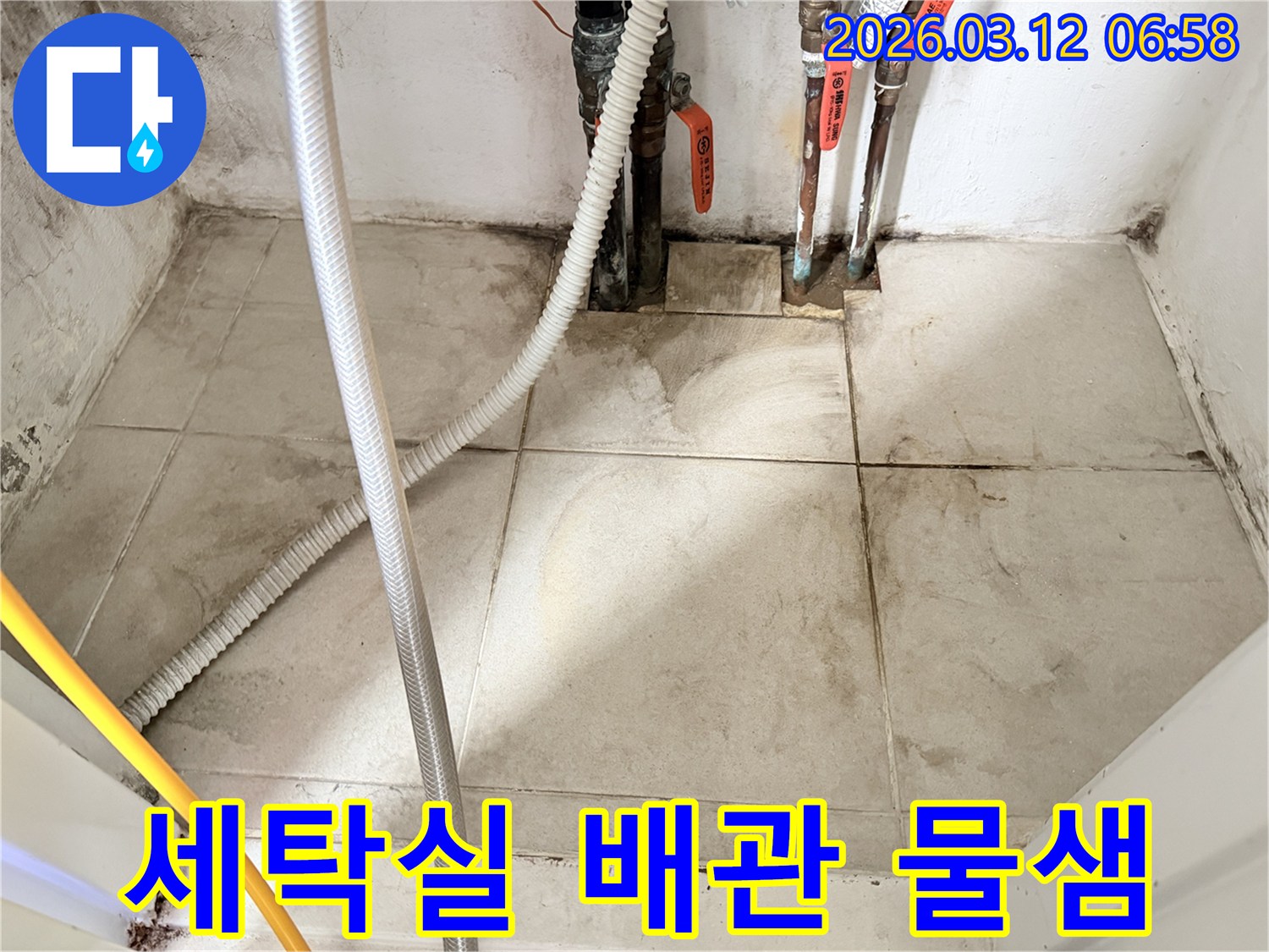세탁실-배관-주변의-젖은-바닥-타일과-벽면-곰팡이를-보여주는-누수-현장-사진