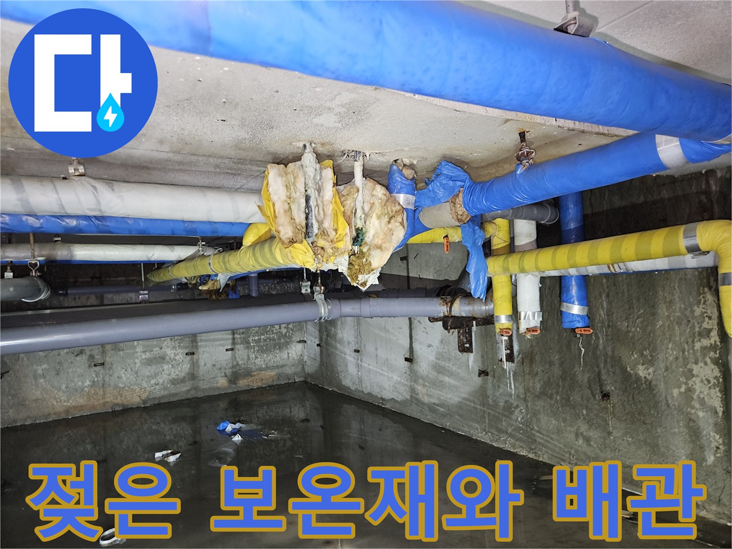 분당 구미동 건물-누수로 인해 젖어 있는 천장 배관들