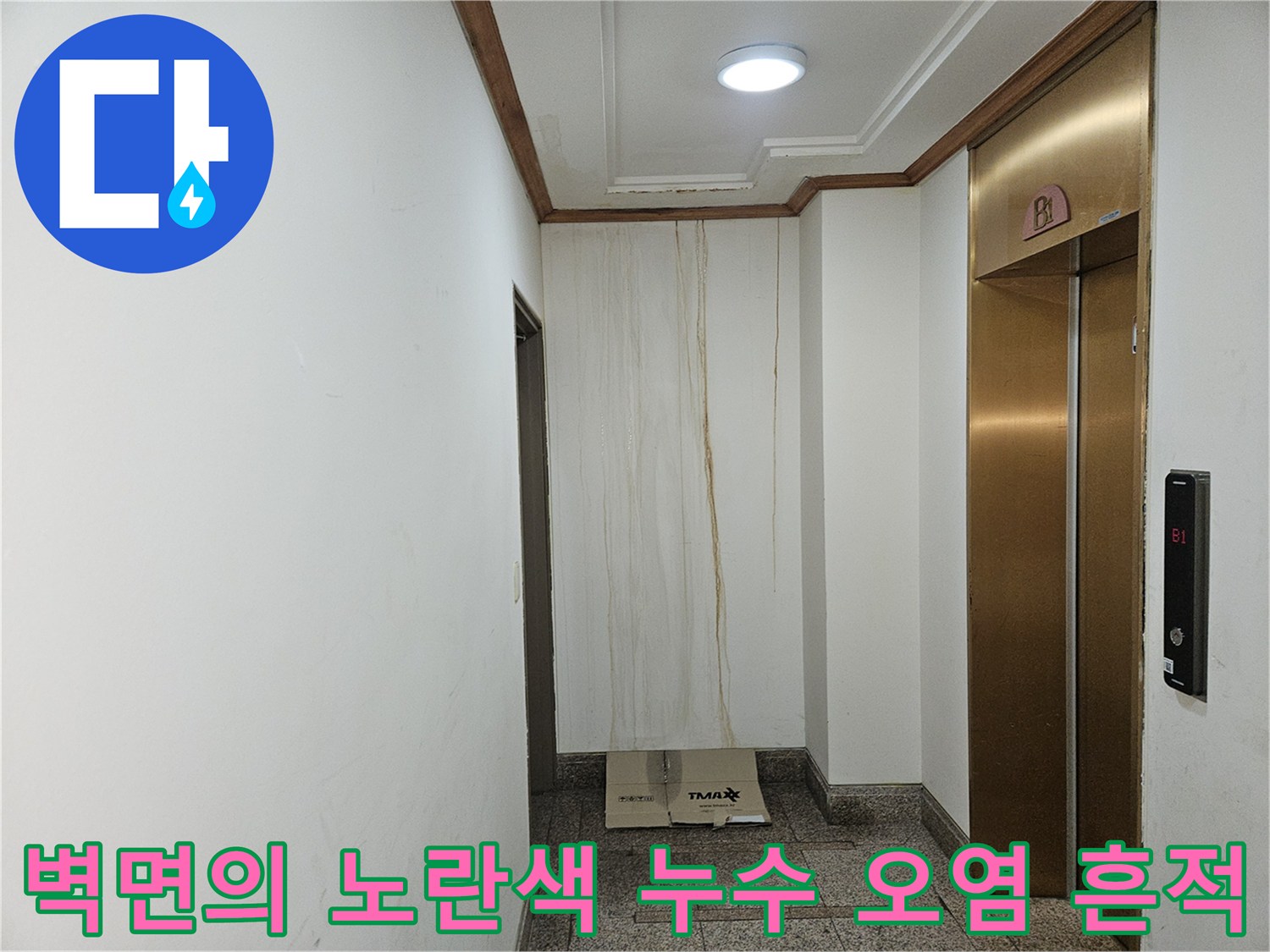 분당 구미동 빌라 지하 1층 엘리베이터 옆 벽면 누수 상태