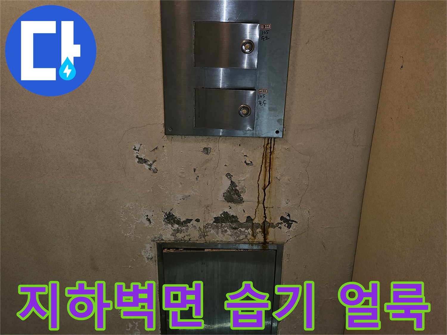 분당-구미동-빌라-지하-배관함체-주변-누수-흔적