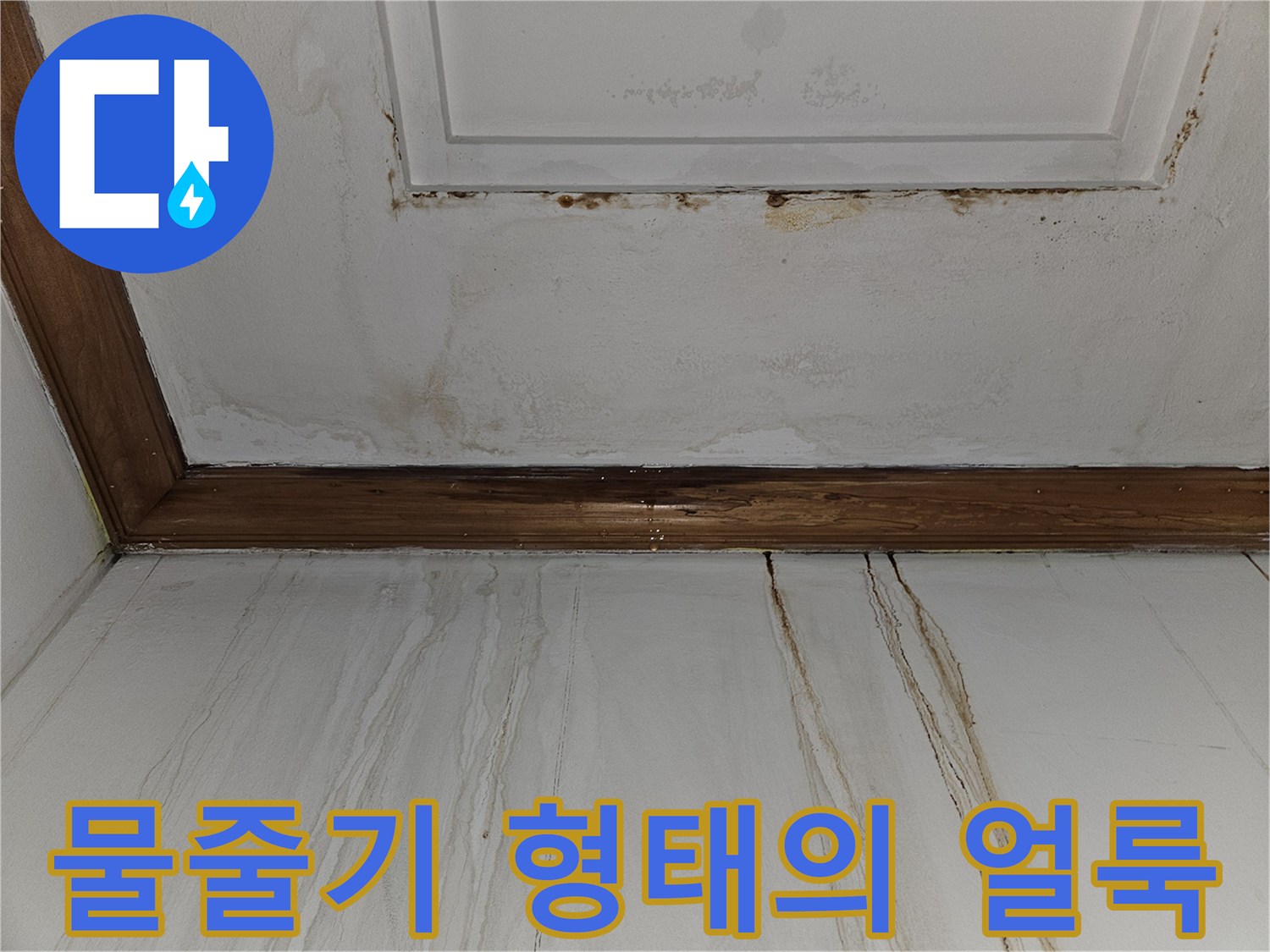 분당 구미동 현장 - 천장 몰딩 주변의 심각한 수분 침투 흔적