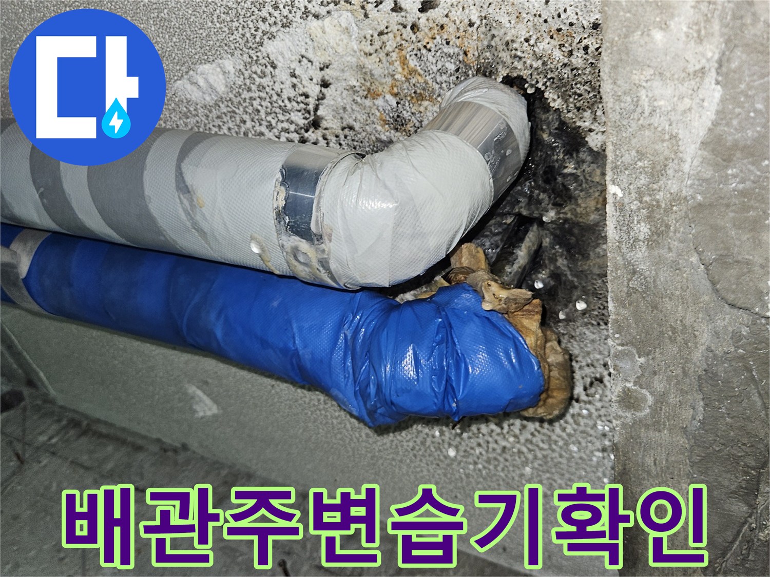 분당구미동-빌라-지하층-천장-배관-누수-흔적